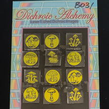 B031: Mushrooms 3/4 inch Boroimage Themepack COE33 Laser Etched Images for Flameworking.