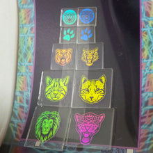 COE 90 - Rainbow Cats on Clear - Dichroic glass chips for Fusing and Warm Glass Forming